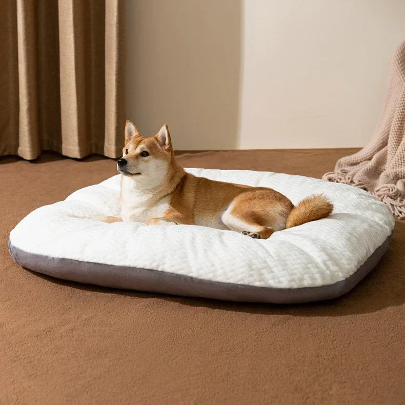 Large Dog Sofa Bed