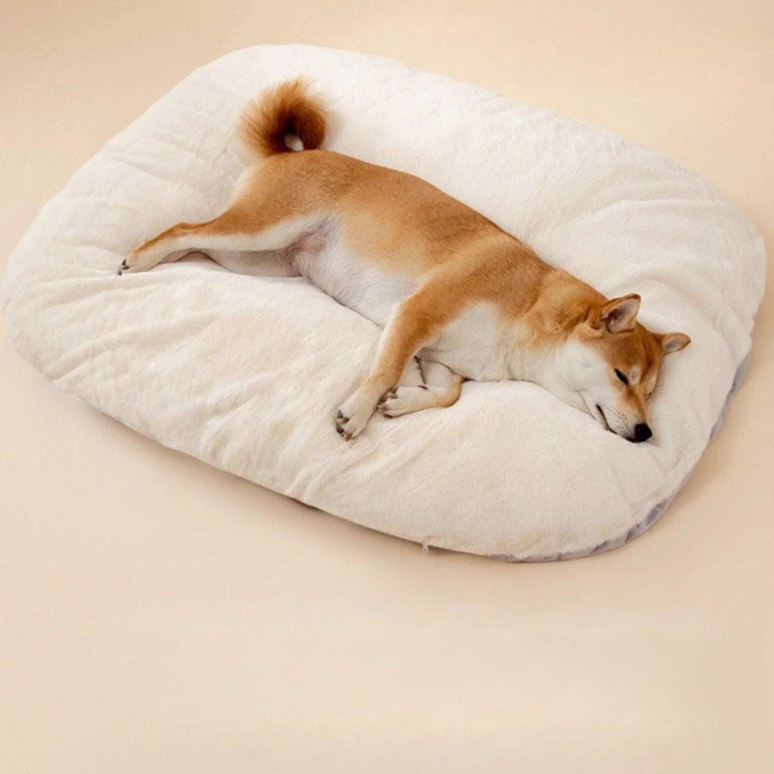 Large Dog Sofa Bed