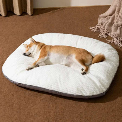 Large Dog Sofa Bed