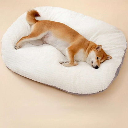 Large Dog Sofa Bed