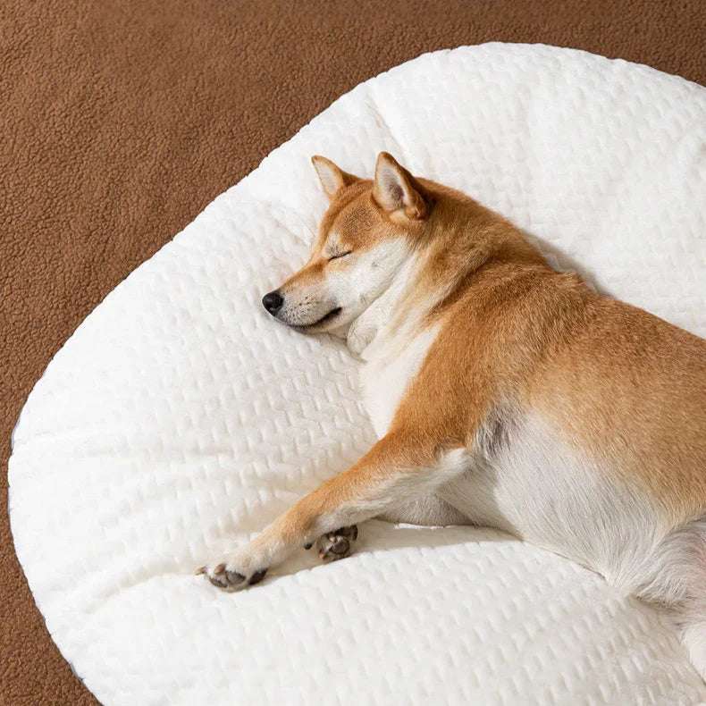 Large Dog Sofa Bed
