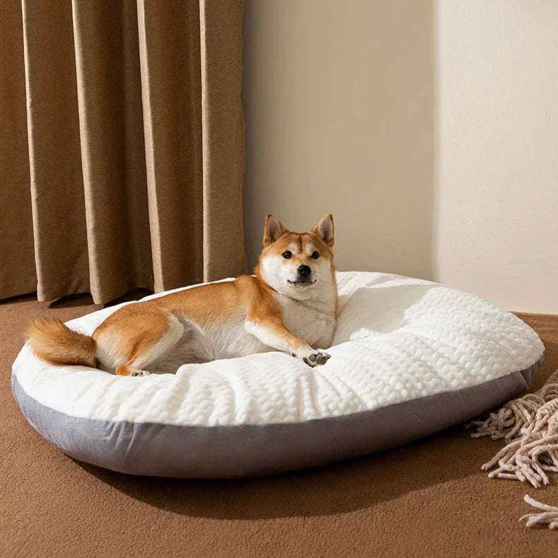 Large Dog Sofa Bed