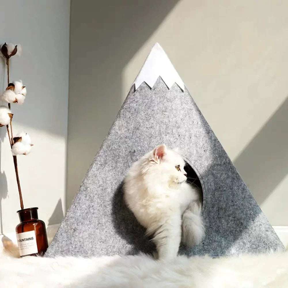 Felt Snow Mountain Cave
