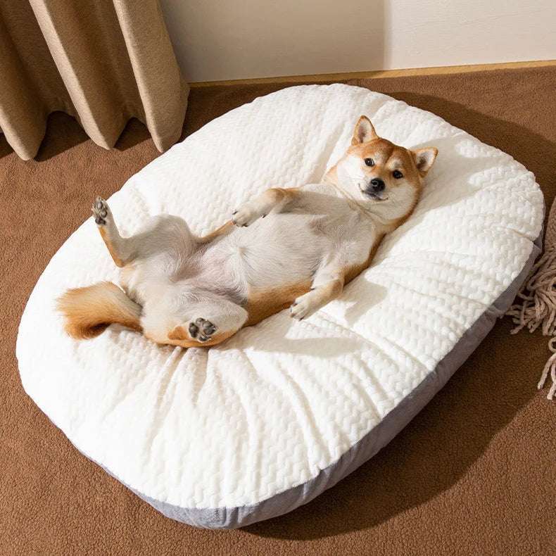 Large Dog Sofa Bed