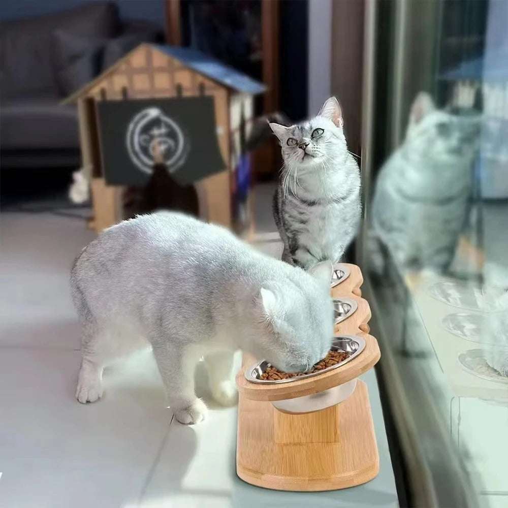 Triple Bowl Tilted Feeder